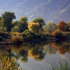 Herbstfarben an der Mosel