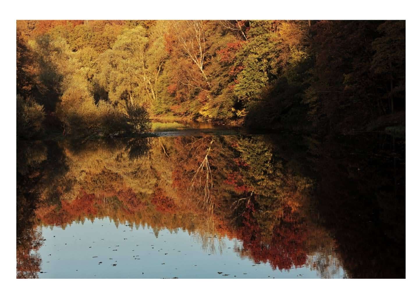 Herbstfarben an der Mulde ....