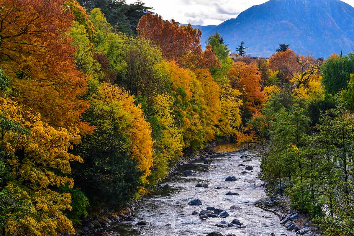 Herbstfarben an der Passer