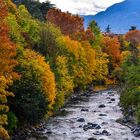 Herbstfarben an der Passer