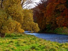 Herbstfarben an der Ruhr