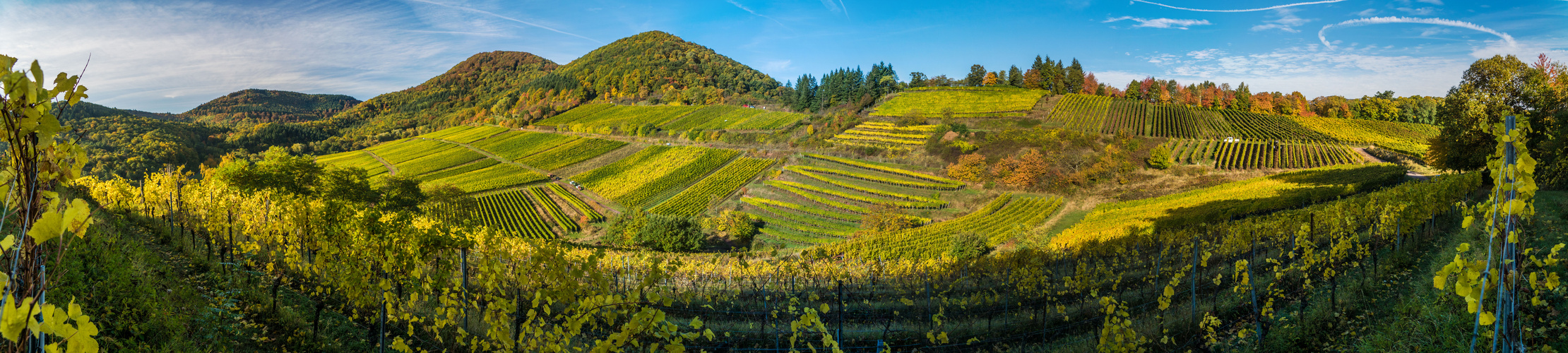 Herbstfarben an der Weinstraße