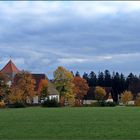 Herbstfarben auch bei uns ringsherum...