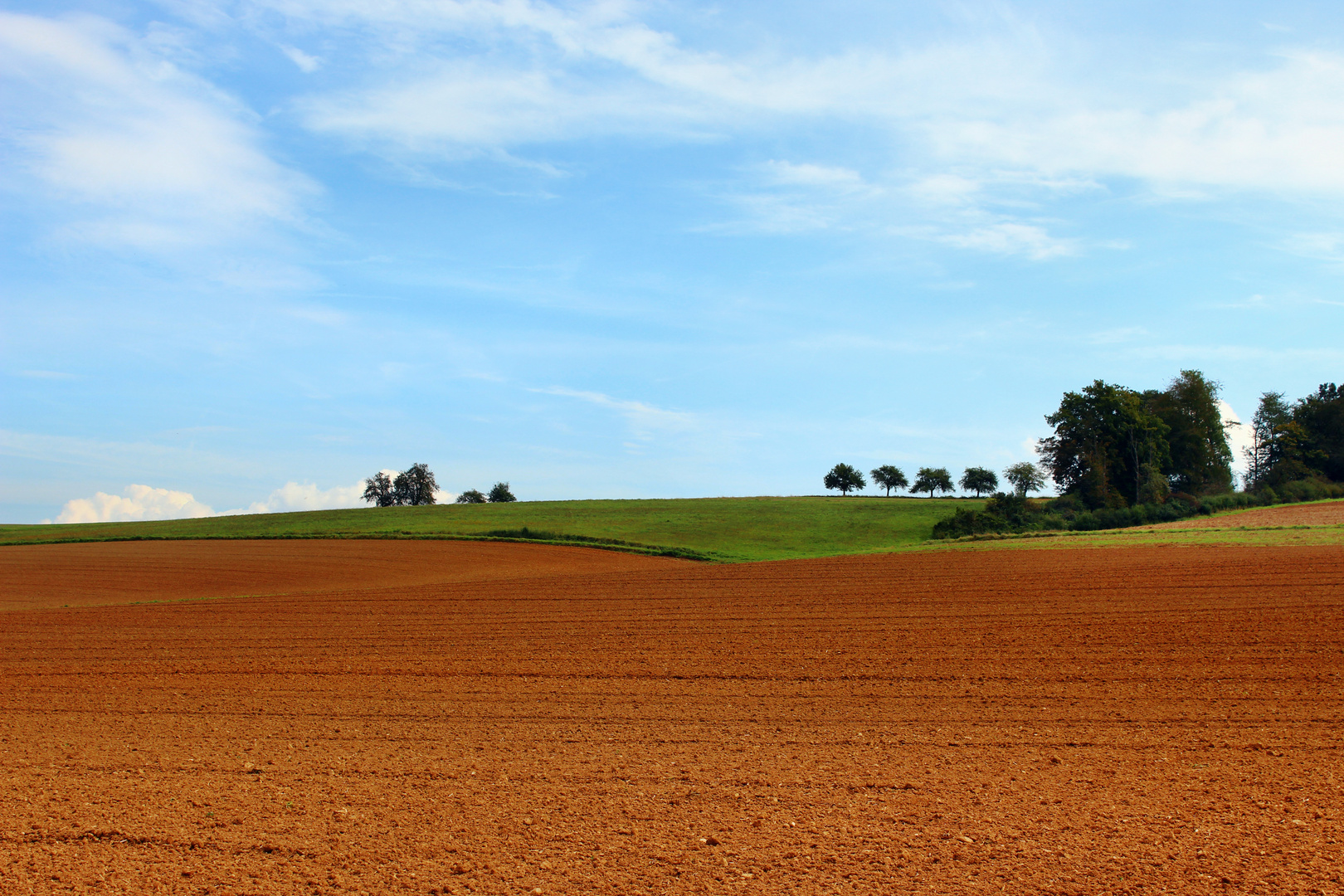 Herbstfarben auch ohne Bäume