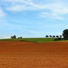 Herbstfarben auch ohne Bäume