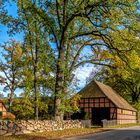 Herbstfarben auf dem Lande