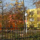 Herbstfarben auf dem  Schulhof