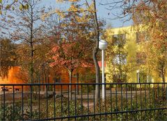 Herbstfarben auf dem  Schulhof