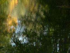 Herbstfarben auf dem Wasser