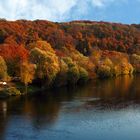Herbstfarben auf den Ruhrhöhen