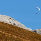 Herbstfarben auf den Wiesen und wolkenloser Himmel, er genoss den Flug über die...