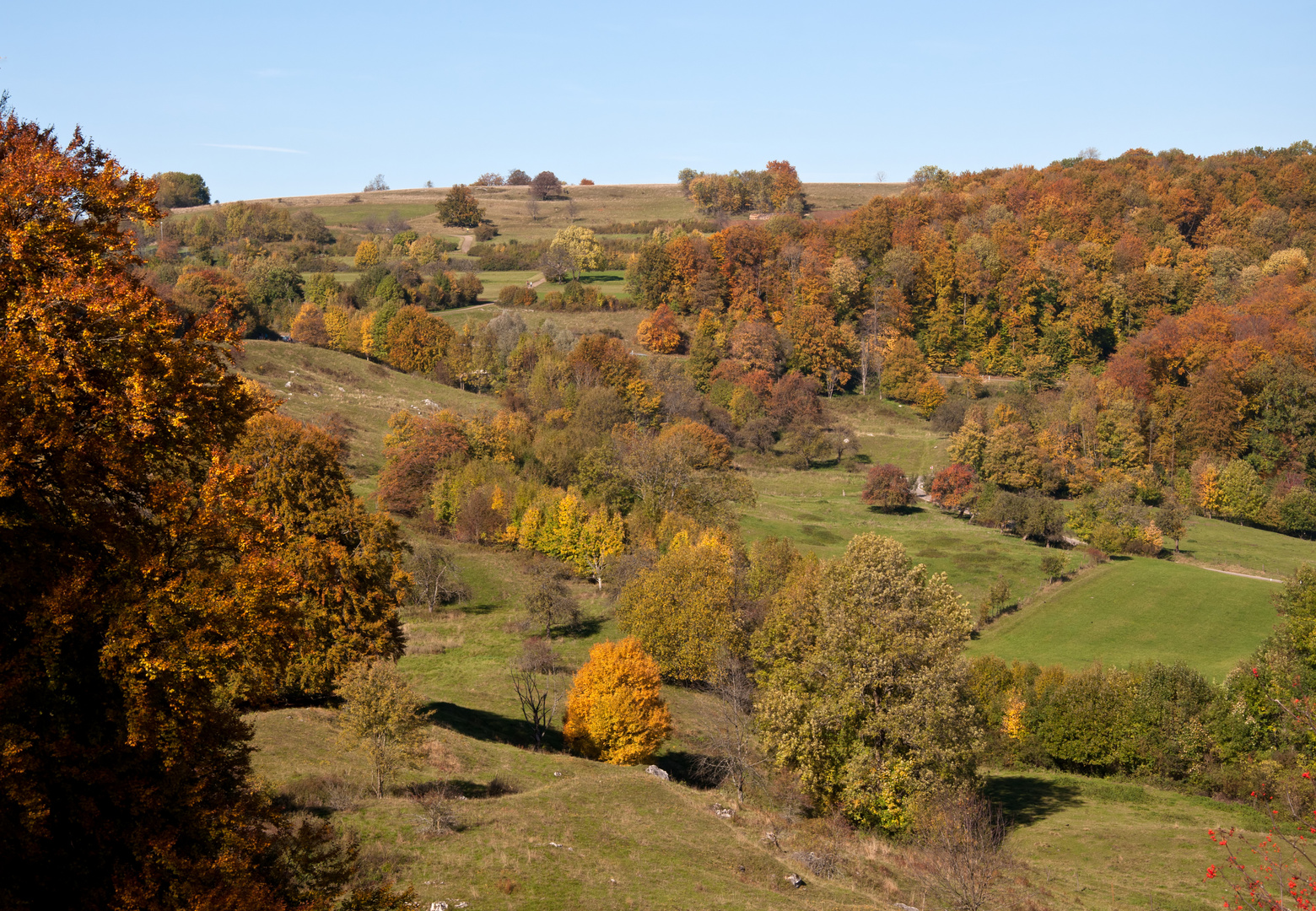 Herbstfarben auf der Alb