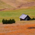 Herbstfarben auf der Bergwiesen