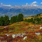 Herbstfarben auf der Crêt du Midi