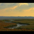 Herbstfarben auf der Insel... - Dämmerung sinkt auf Spiekeroog