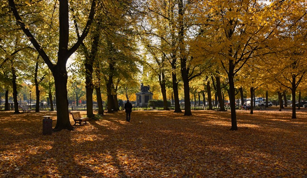 Herbstfarben aus Potsdam