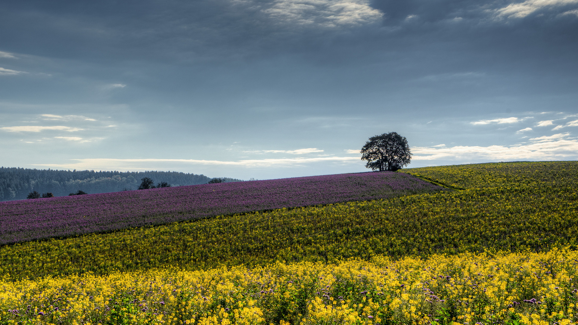 Herbstfarben