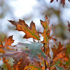 Herbstfarben