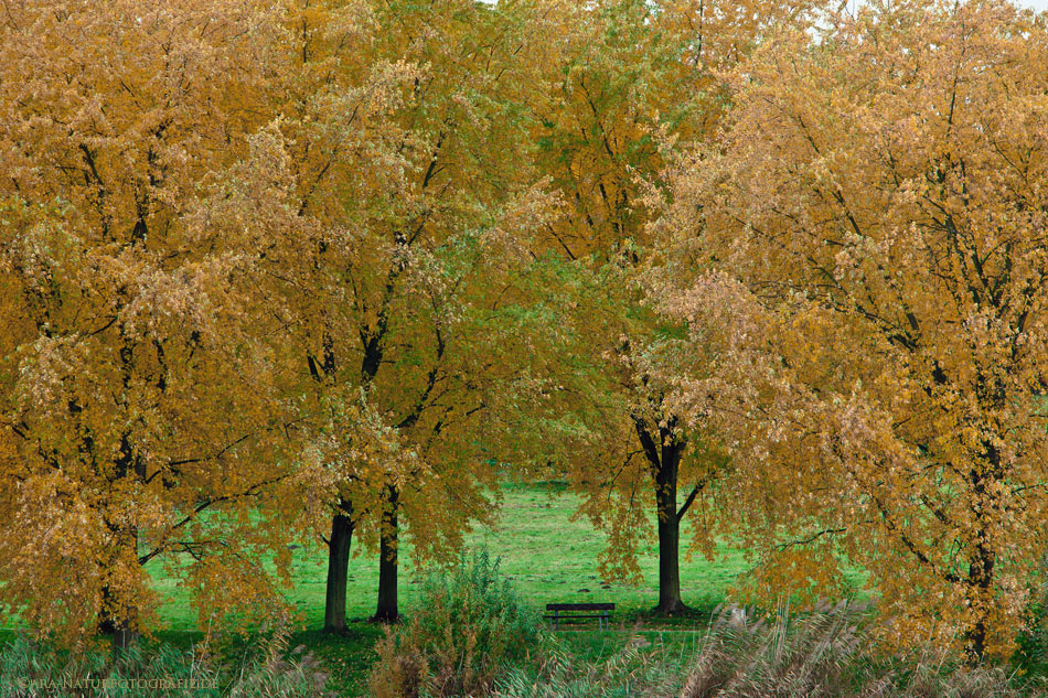 Herbstfarben