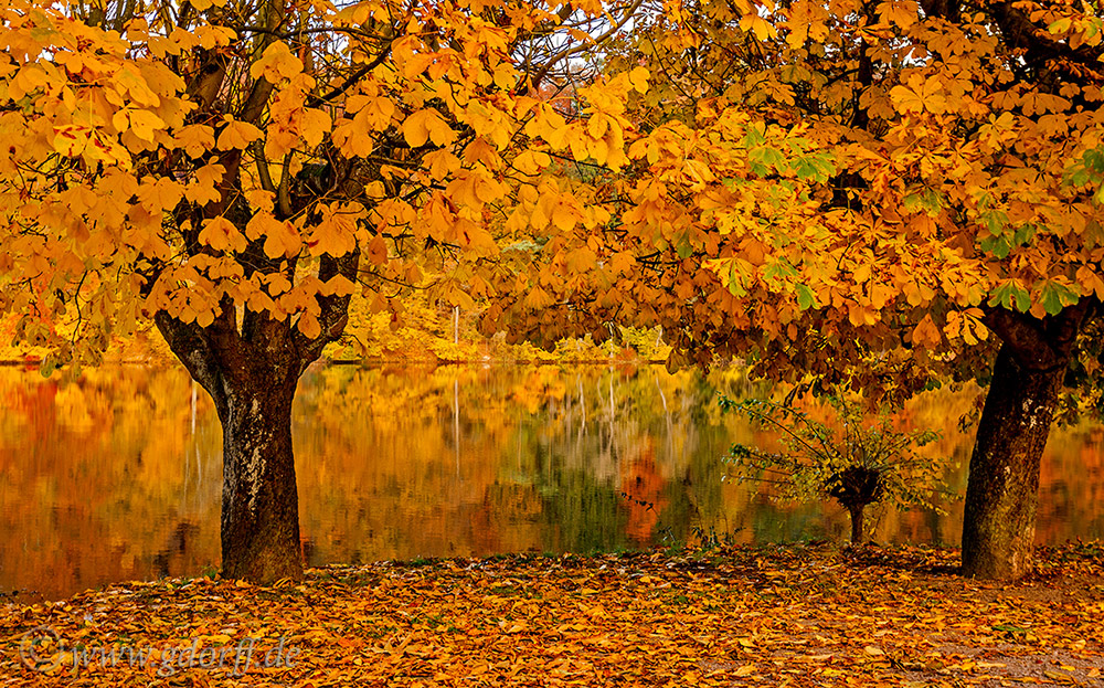 ~ Herbstfarben ~