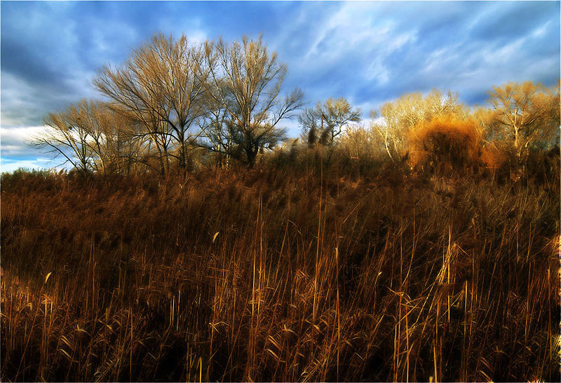 Herbstfarben