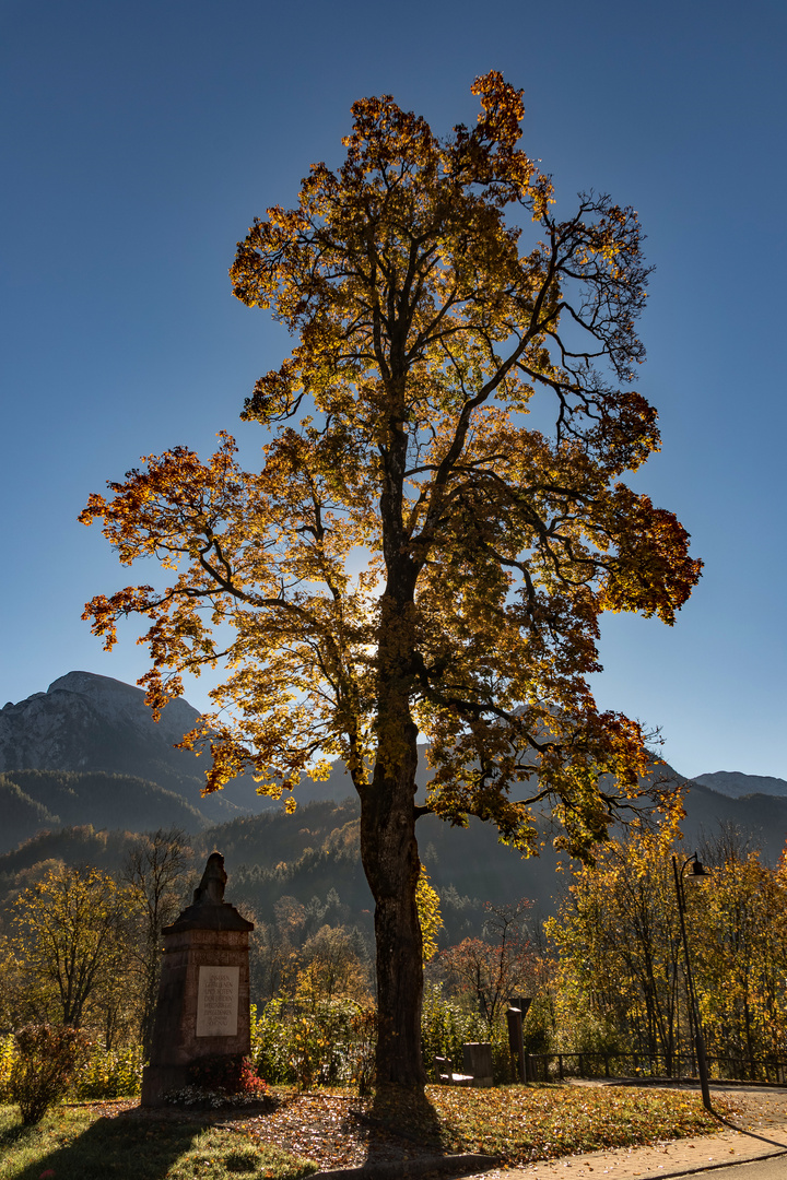 Herbstfarben