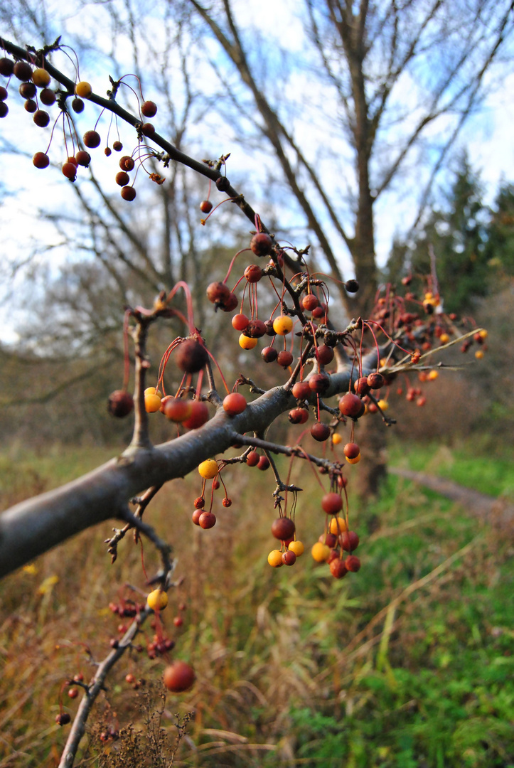 Herbstfarben