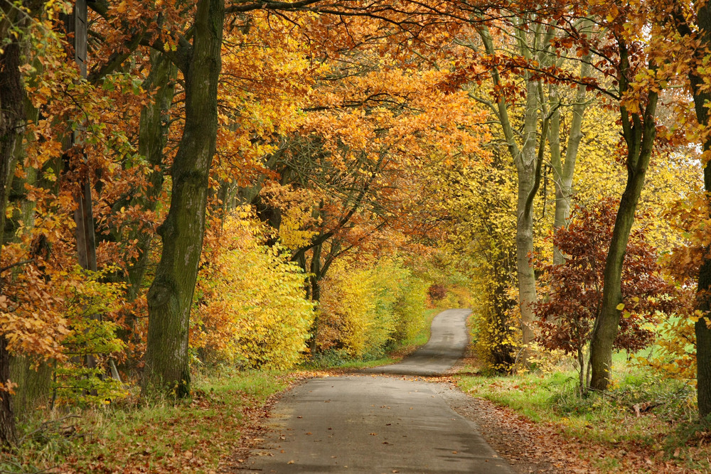 Herbstfarben