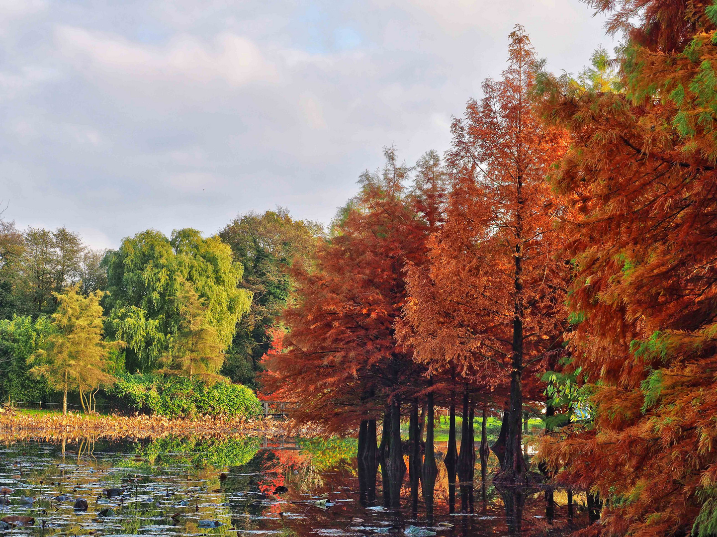 Herbstfarben