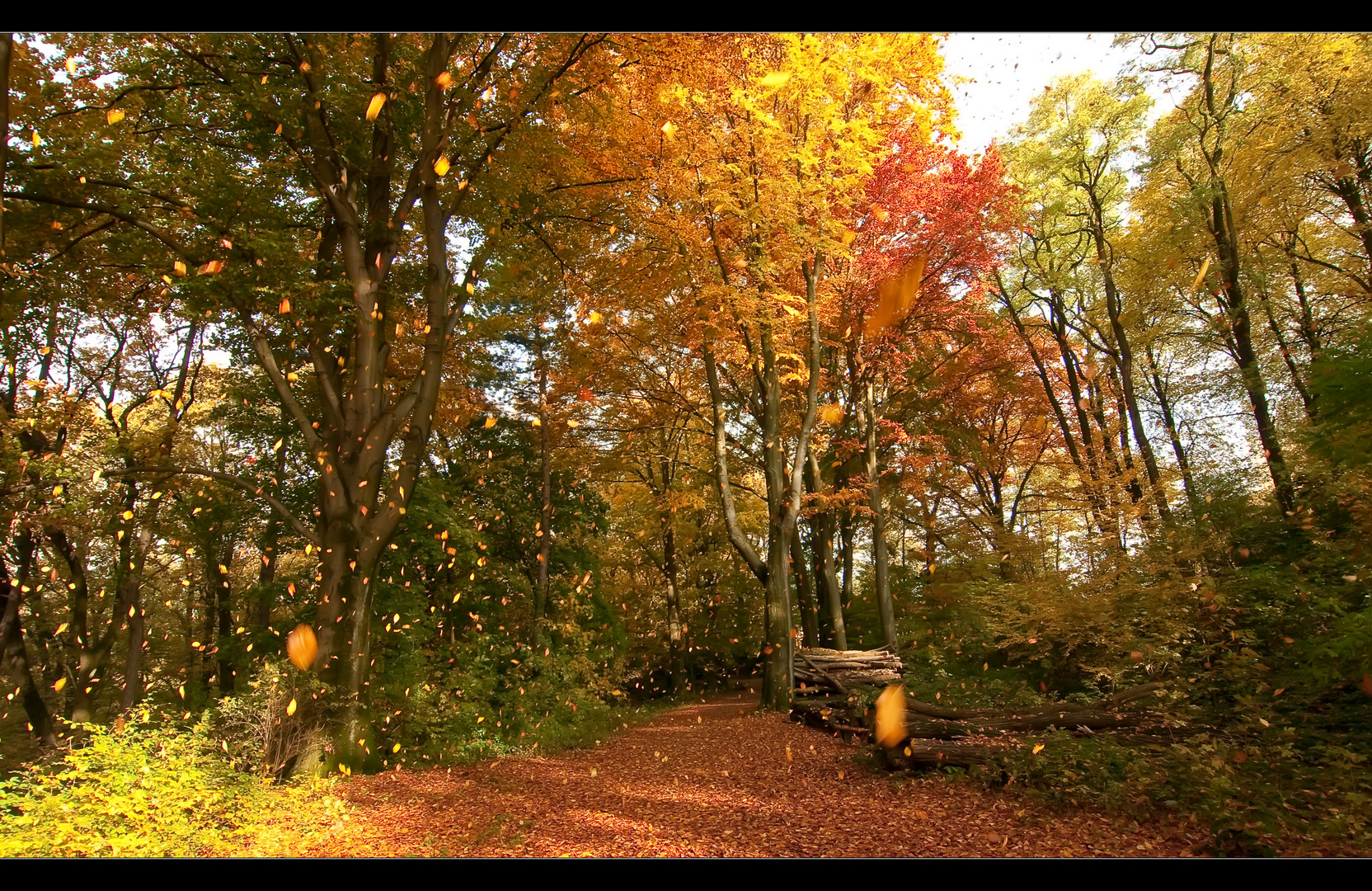 Herbstfarben