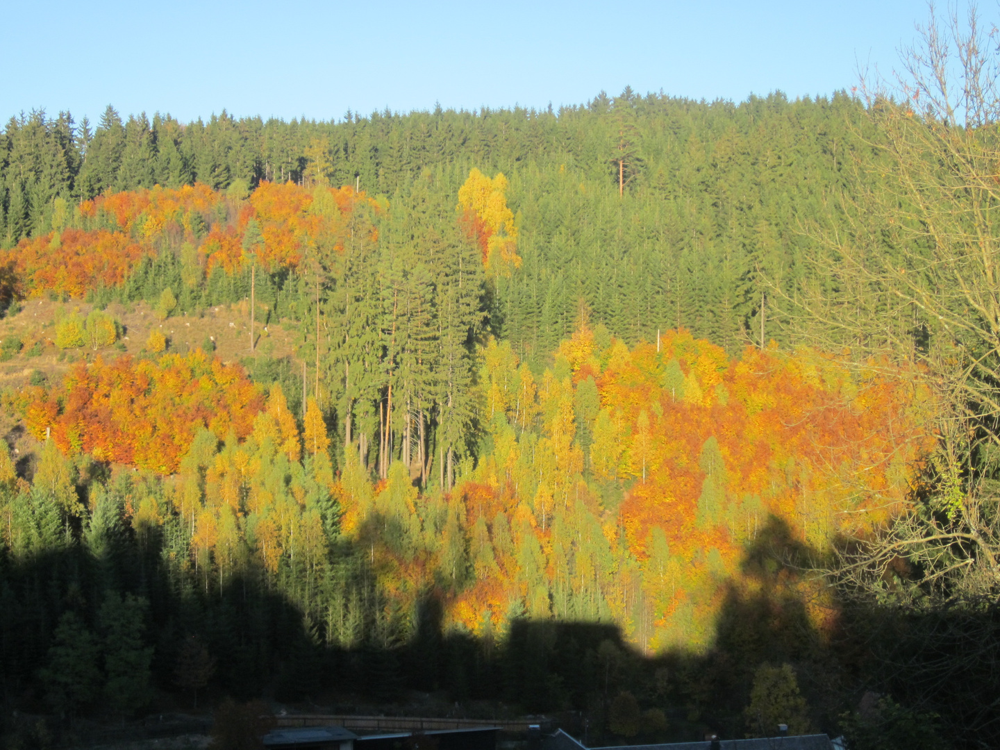 Herbstfarben