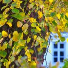 Herbstfarben