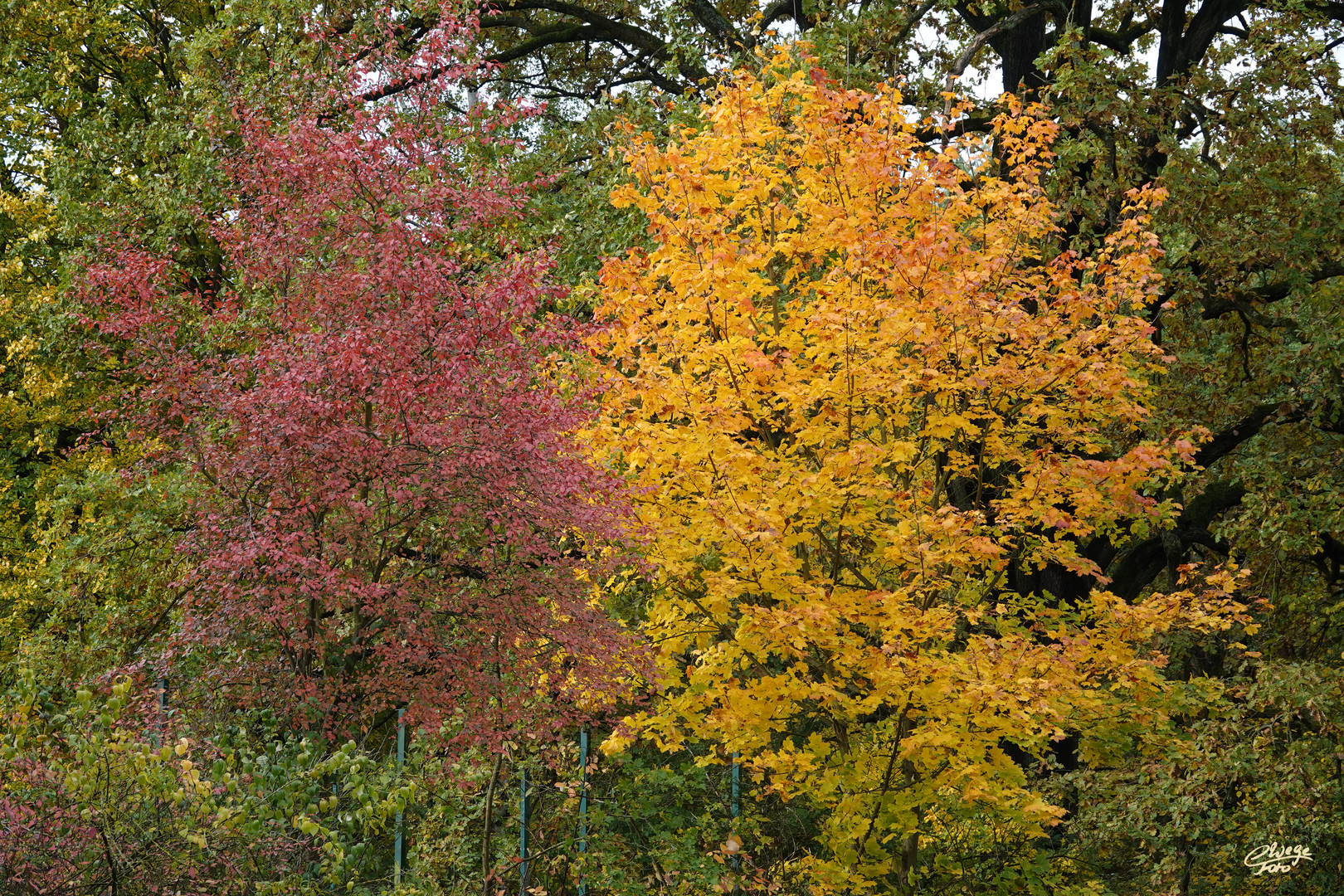 Herbstfarben