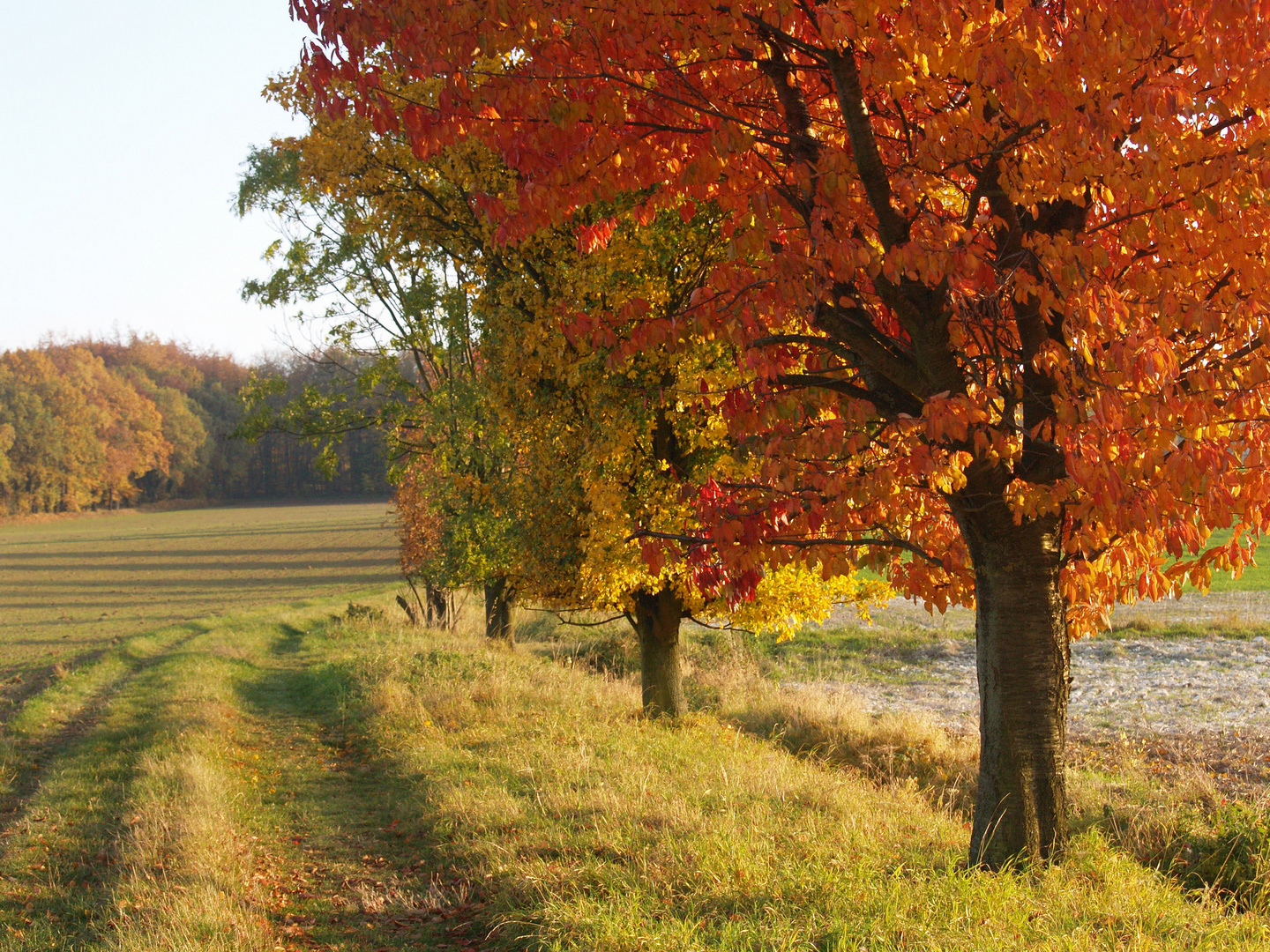 Herbstfarben