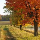 Herbstfarben