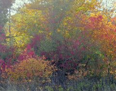 Herbstfarben