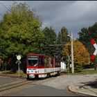 Herbstfarben