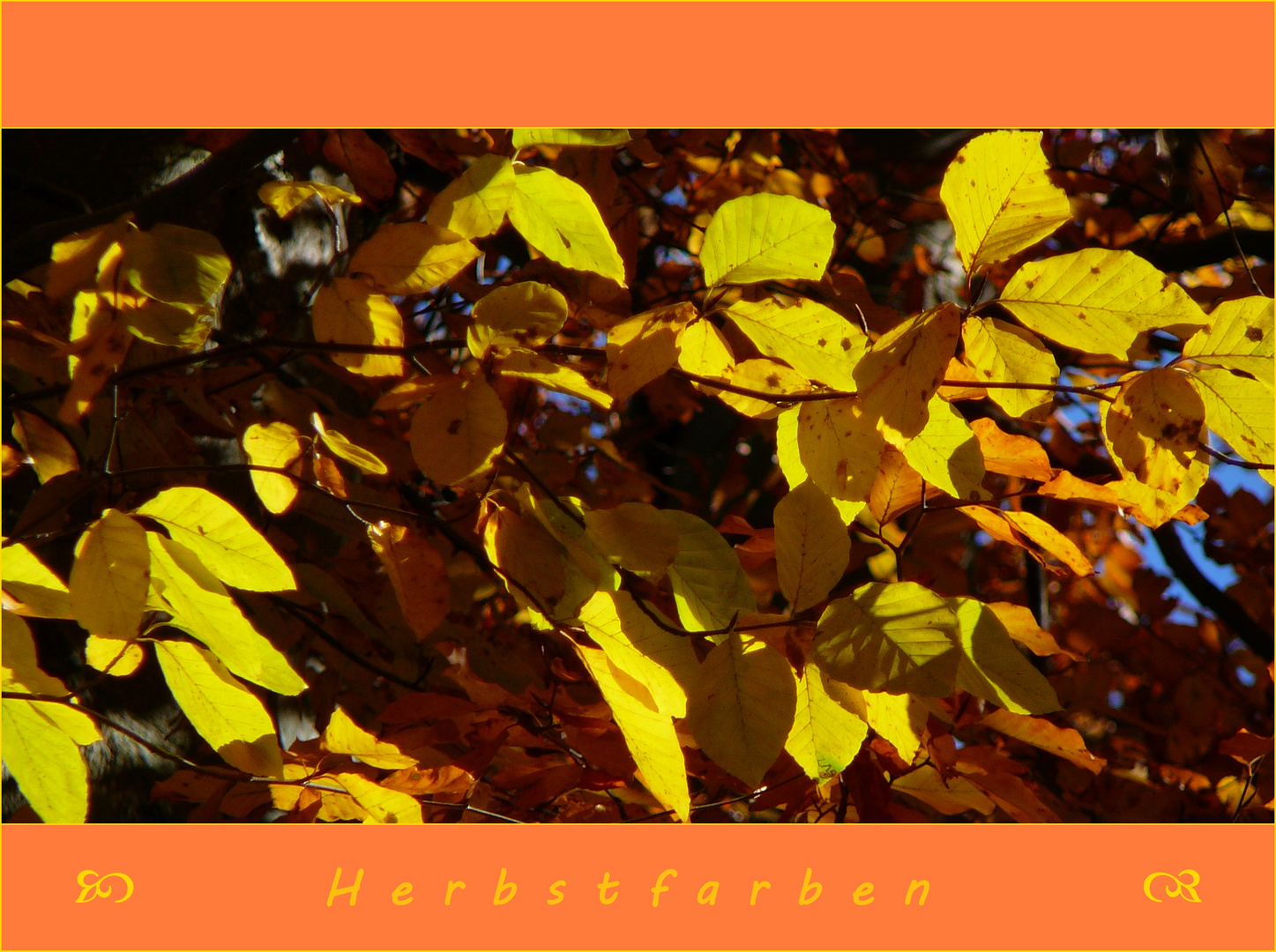 Herbstfarben