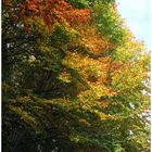 Herbstfarben