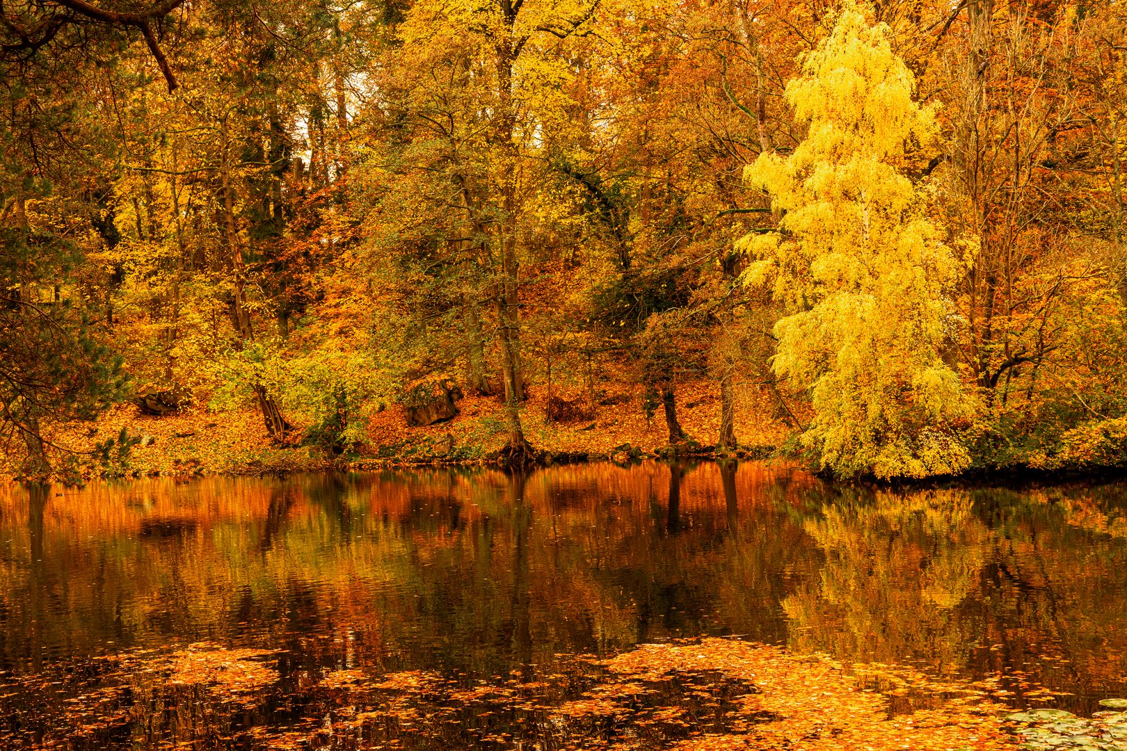 Herbstfarben