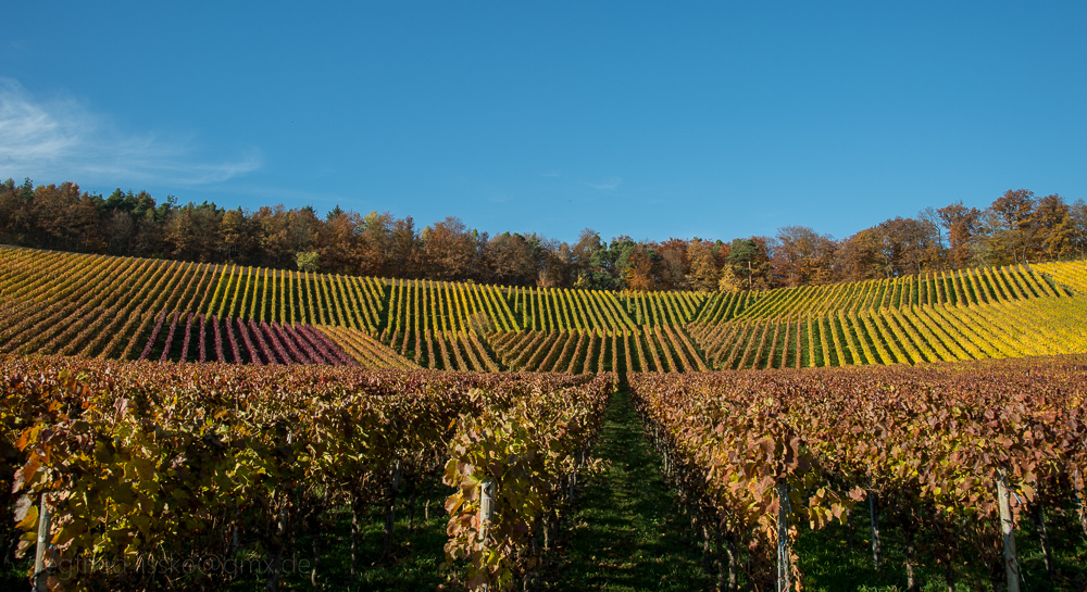 Herbstfarben