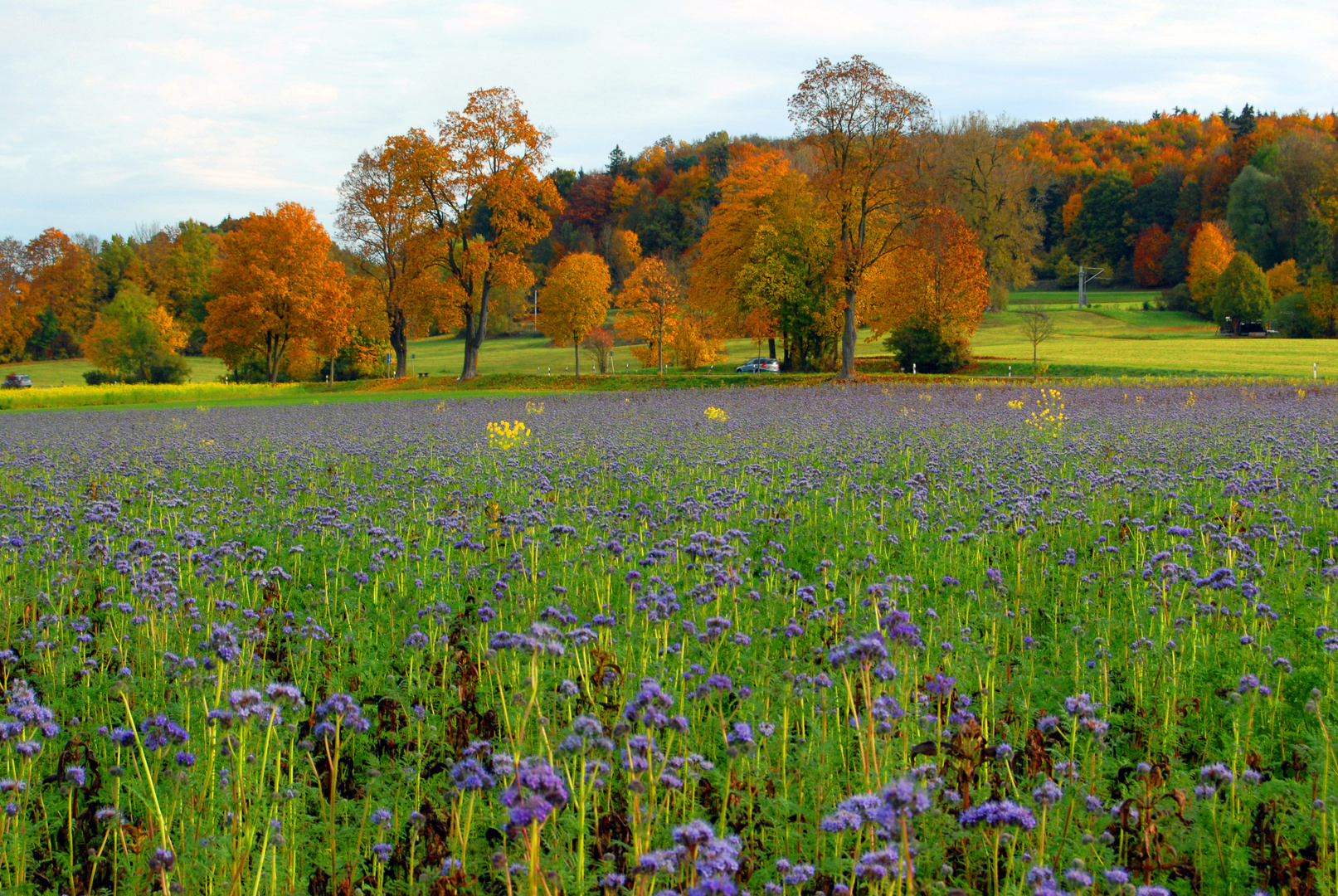 Herbstfarben.