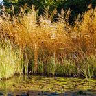 Herbstfarben.