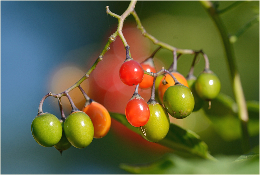 Herbstfarben