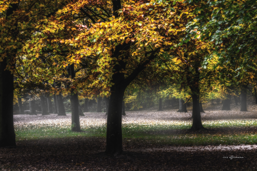 -Herbstfarben-