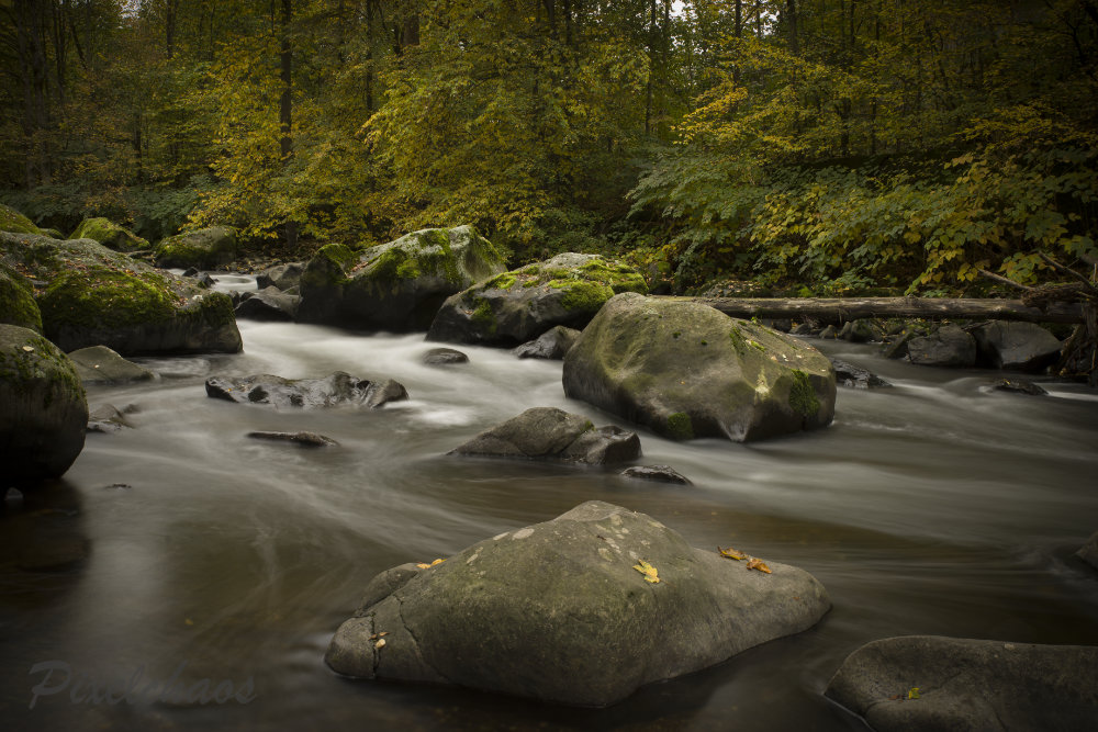 Herbstfarben