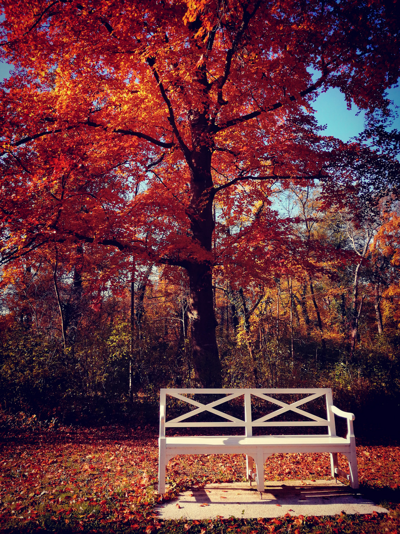 Herbstfarben