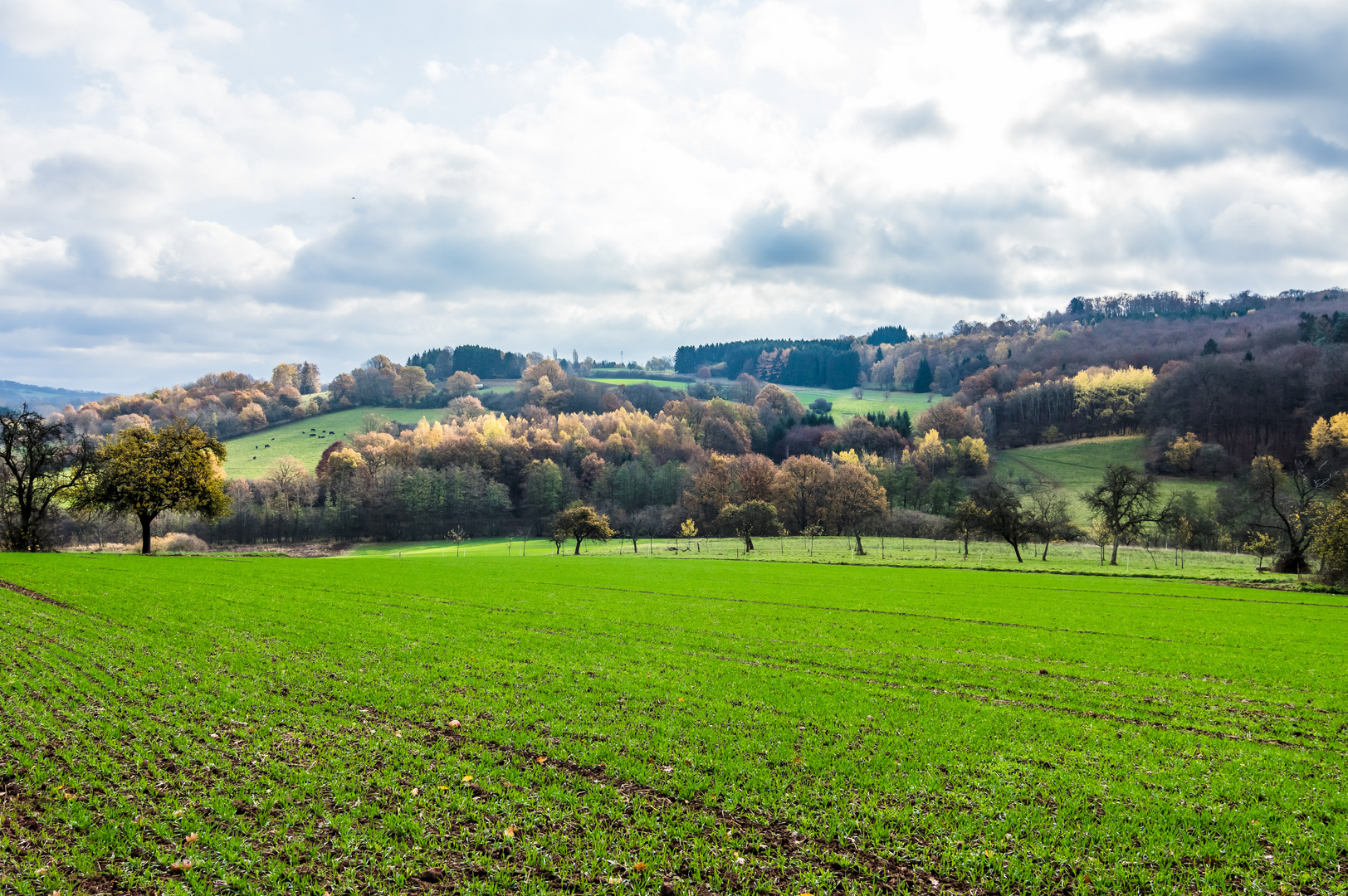 Herbstfarben