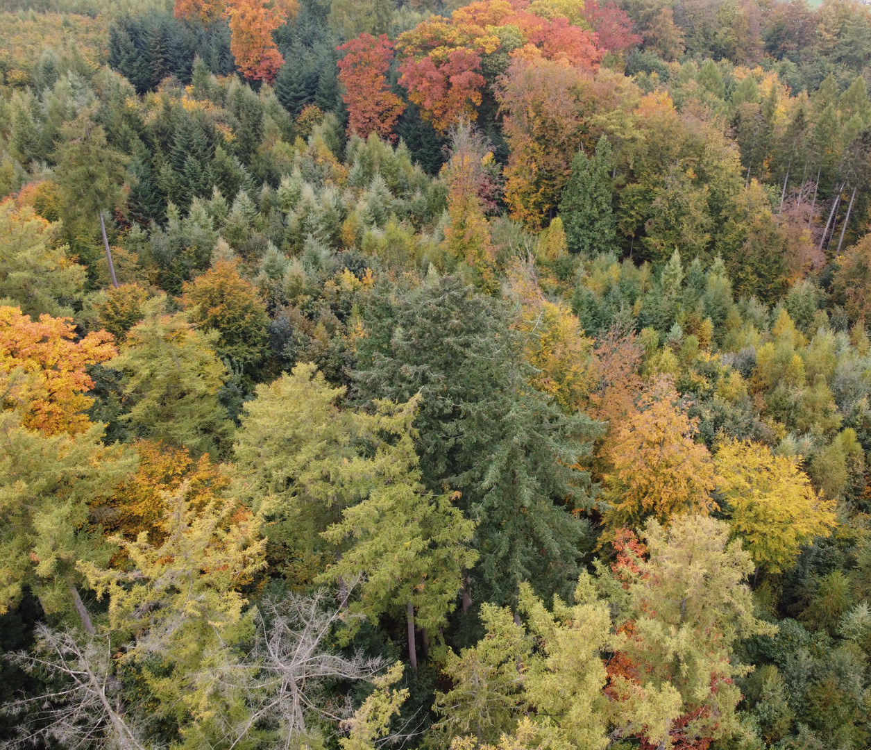 Herbstfarben