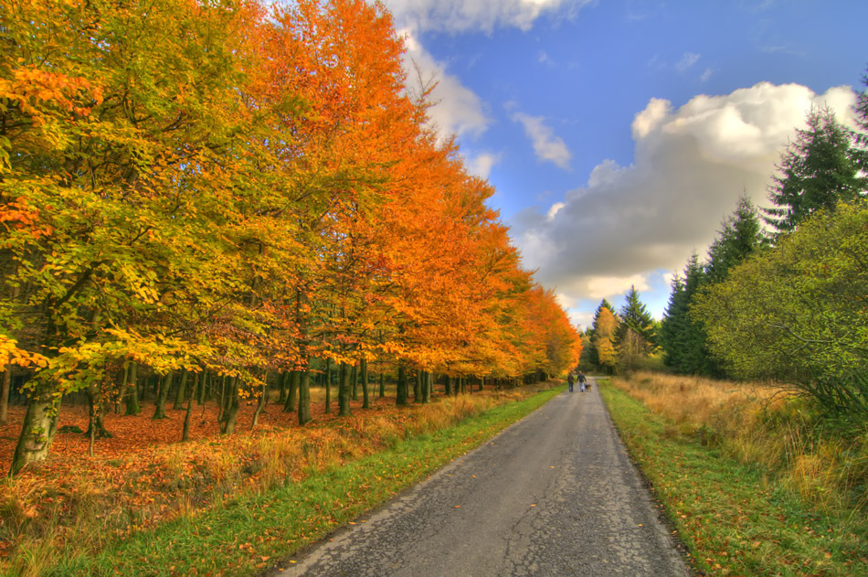 Herbstfarben